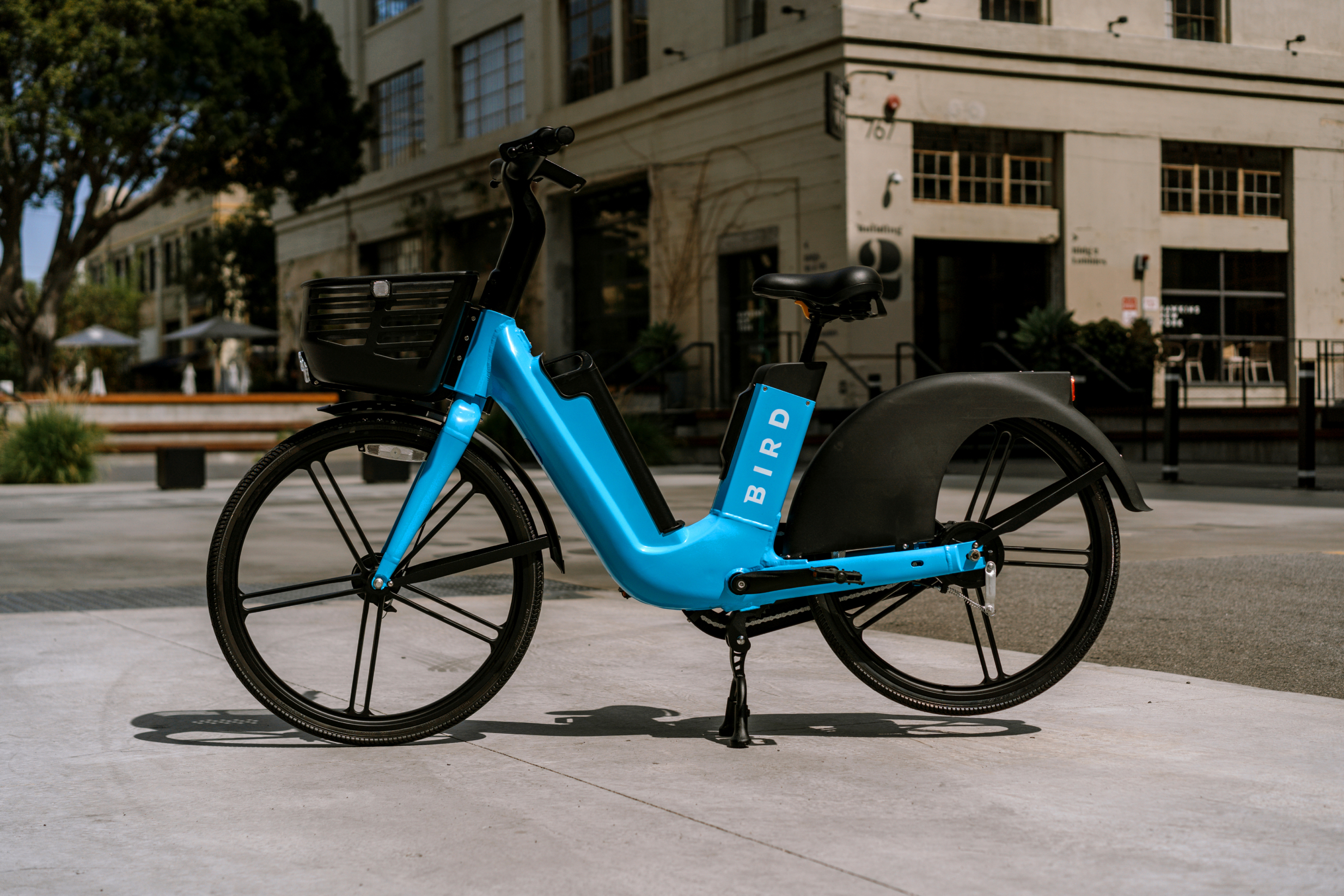 bird bike
