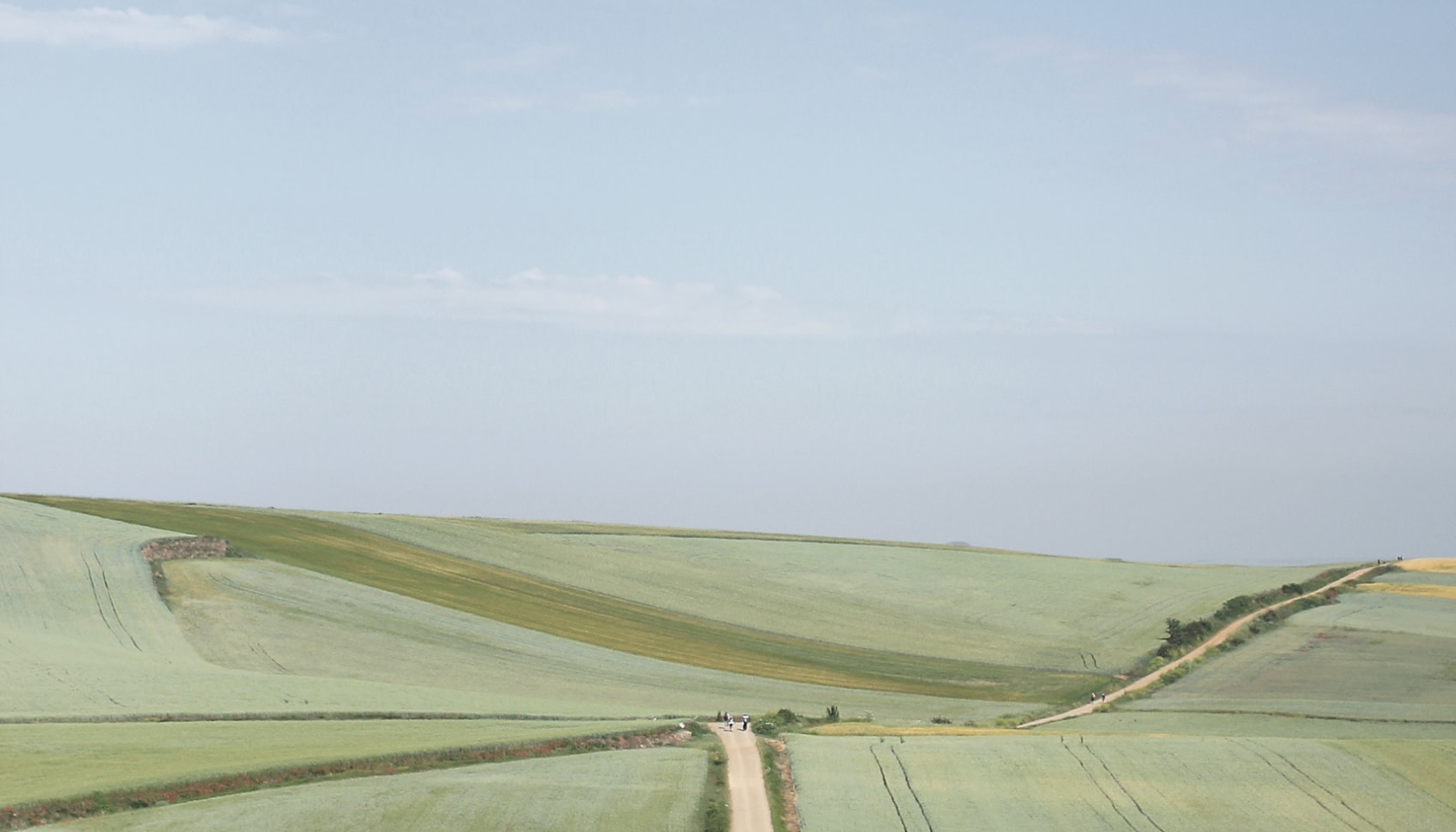 Paisaje verde con caminos