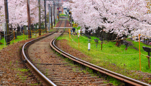 Vías de tren cruzando por la naturaleza